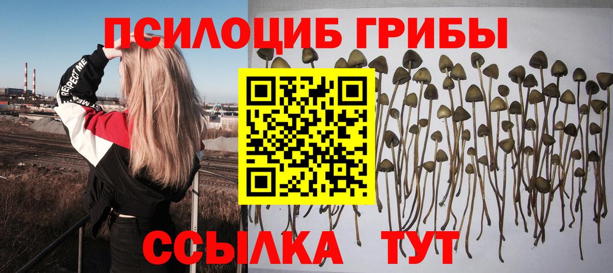 Галлюциногенные грибы Cubensis Иркутск