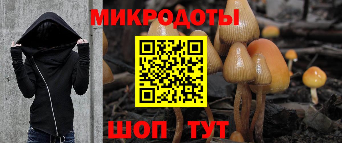 Галлюциногенные грибы GOLDEN TEACHER Иркутск