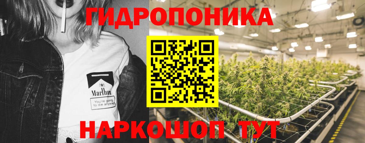 Иркутск  Канабис THC 21%  Марихуана конопля  Вход с VPN  Шишки марихуана Ganja 