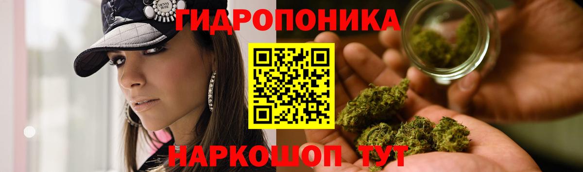Каннабис гибрид  Бошки Шишки OG Kush  Иркутск  Каннабис сатива 